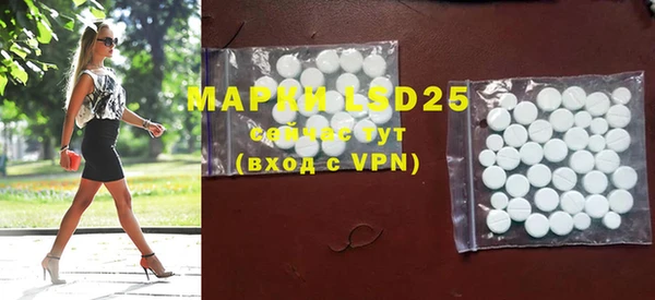 шишки Медвежьегорск